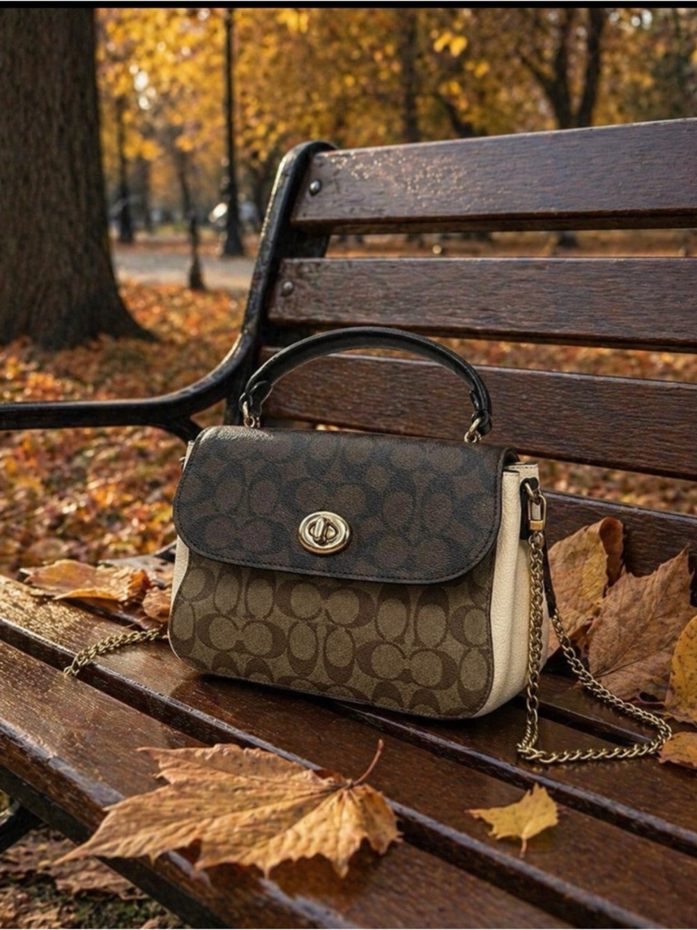 Beautiful Coach Signature Bag 🍂✨